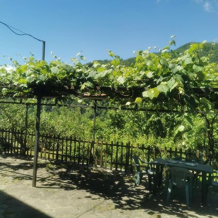 סן מרצ'לו פיזטויזה Appartamento Nel Verde מראה חיצוני תמונה